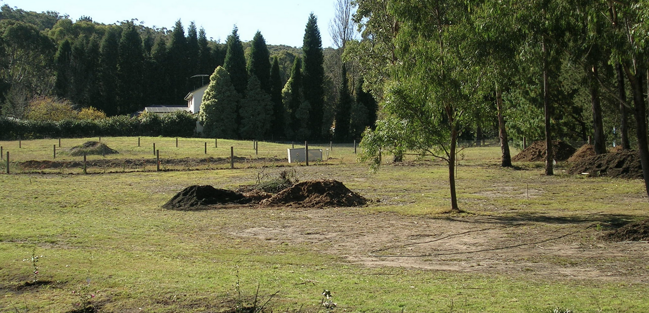 BORONIA STREET